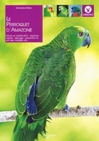 PERROQUET D AMAZONIE