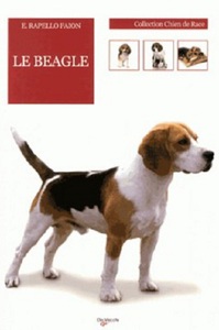 BEAGLE