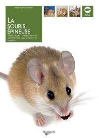 SOURIS EPINEUSE