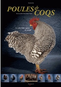 POULES ET COQS