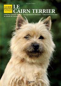 CAIRN TERRIER