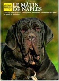 MATIN DE NAPLES