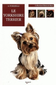 YORKSHIRE TERRIER