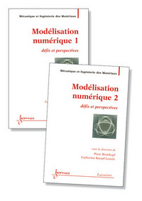 MODELISATION NUMERIQUE : DEFIS ET PERSPECTIVES (TRAITE MIM, SERIE METHODES NUMERIQUES ET ELEMENTS FI