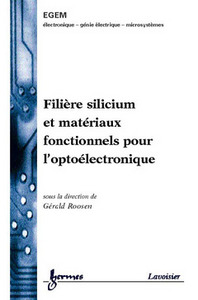 Filière silicium et matériaux fonctionnels pour l'optoélectronique