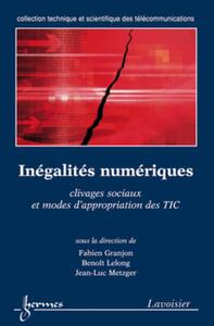 Inégalités numériques : clivages sociaux et modes d'appropriation des TIC