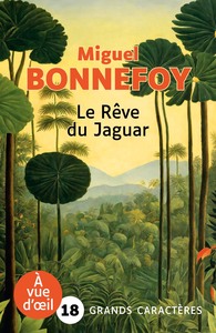 LE REVE DU JAGUAR