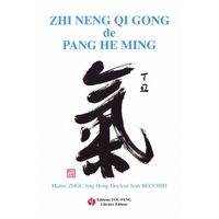 Le Qi gong de la sagesse