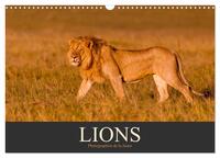 Lions - Photographies de la faune (Calendrier mural 2026 DIN A3 vertical), CALVENDO calendrier mensuel