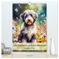 Les charmants caniches d'Aussied - Angelika Beuck  (Calendrier mural 2026 DIN A2 horizontal) calendrier de bureau