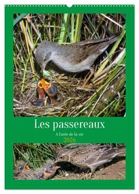Les passereaux à l'orée de la vie (Calendrier mural 2026 DIN A2 horizontal), CALVENDO calendrier mensuel