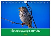 Notre nature sauvage, les passereaux d'Europe (Calendrier mural 2026 DIN A4 vertical), CALVENDO calendrier mensuel