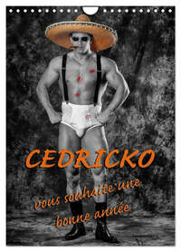 CEDRICKO vous souhaite une bonne année (Calendrier mural 2026 DIN A4 horizontal), CALVENDO calendrier mensuel