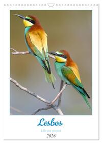 Lesbos l'île aux oiseaux (Calendrier mural 2026 DIN A3 horizontal), CALVENDO calendrier mensuel