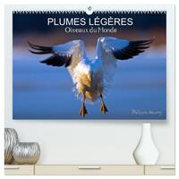 PLUMES LÉGÈRES. Oiseaux du Monde  (Calendrier mural 2026 DIN A2 vertical) calendrier de bureau