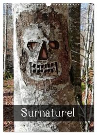 Surnaturel (Calendrier mural 2026 DIN A3 horizontal), CALVENDO calendrier mensuel