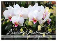 L'orchidée Phalaenopsis (Calendrier de bureau 2026 DIN A5 vertical), CALVENDO calendrier mensuel