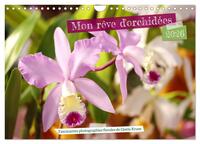 Mon rêve d'orchidées (Calendrier mural 2026 DIN A4 vertical), CALVENDO calendrier mensuel