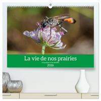 La vie de nos prairies - Les guêpes et les abeilles  (Calendrier mural 2026 DIN A2 vertical) calendrier de bureau