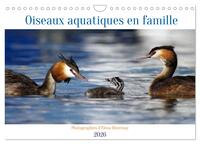 Oiseaux aquatiques en famille (Calendrier mural 2026 DIN A4 vertical), CALVENDO calendrier mensuel