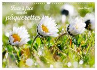 Face à face avec les pâquerettes (Calendrier mural 2026 DIN A3 vertical), CALVENDO calendrier mensuel