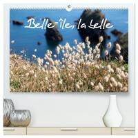 Belle-Île, la belle  (Calendrier mural 2026 DIN A2 vertical) calendrier de bureau