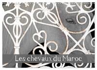 Les chevaux du Maroc (Calendrier mural 2026 DIN A3 vertical), CALVENDO calendrier mensuel