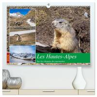 Les Hautes-Alpes sur les chemins des marmottes  (Calendrier mural 2026 DIN A2 vertical) calendrier de bureau