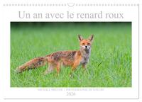 Un an avec le renard roux (Calendrier mural 2026 DIN A3 vertical), CALVENDO calendrier mensuel