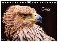FACES DE RAPACES (Calendrier mural 2026 DIN A4 vertical), CALVENDO calendrier mensuel