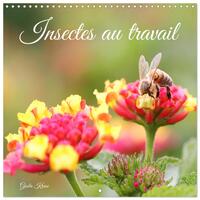 Insectes au travail (Calendrier mural carré 2026 30x30 cm) Calendrier double avec une page pour vos prises de notes