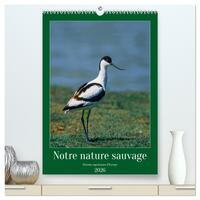 Notre nature sauvage, oiseaux aquatiques d'Europe  (Calendrier mural 2026 DIN A2 horizontal) calendrier de bureau