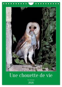 Une chouette de vie, les oiseaux (Calendrier mural 2026 DIN A4 horizontal), CALVENDO calendrier mensuel