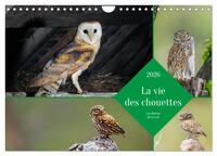 La vie des chouettes, les dames de la nuit (Calendrier mural 2026 DIN A4 vertical), CALVENDO calendrier mensuel