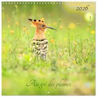 Au gré des plumes (Calendrier mural carré 2026 30x30 cm) Calendrier double avec une page pour vos prises de notes