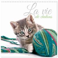 La vie de chatons (Calendrier mural carré 2026 30x30 cm) Calendrier double avec une page pour vos prises de notes