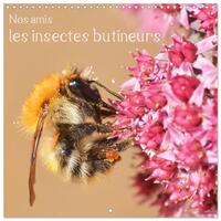 Nos amis, les insectes butineurs (Calendrier mural carré 2026 30x30 cm) Calendrier double avec une page pour vos prises de notes