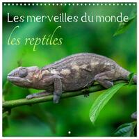 Les merveilles du monde les reptiles (Calendrier mural carré 2026 30x30 cm) Calendrier double avec une page pour vos prises de notes
