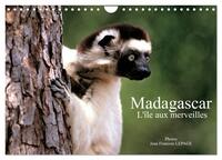 Madagascar L'île aux merveilles (Calendrier mural 2026 DIN A4 vertical), CALVENDO calendrier mensuel