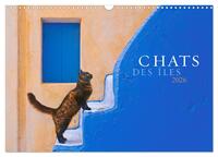 Chats des îles (Calendrier mural 2026 DIN A3 vertical), CALVENDO calendrier mensuel