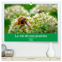 La vie de nos prairies - Les diptères  (Calendrier mural 2026 DIN A2 vertical) calendrier de bureau