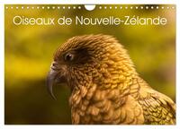 Oiseaux de Nouvelle-Zélande (Calendrier mural 2026 DIN A4 vertical), CALVENDO calendrier mensuel