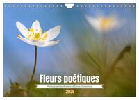 Fleurs poétiques (Calendrier mural 2026 DIN A4 vertical), CALVENDO calendrier mensuel