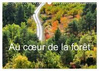 Au coeur de la forêt (Calendrier mural 2026 DIN A3 vertical), CALVENDO calendrier mensuel