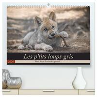 Les p'tits loups gris  (Calendrier mural 2026 DIN A2 vertical) calendrier de bureau