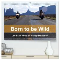 Born to be wild - Les États-Unis en Harley-Davidson  (Calendrier mural 2026 DIN A2 vertical) calendrier de bureau