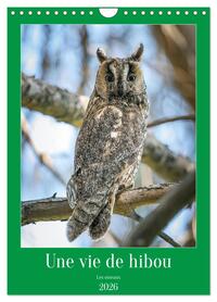 Une vie de hibou les oiseaux (Calendrier mural 2026 DIN A4 horizontal), CALVENDO calendrier mensuel
