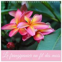 Le frangipanier au fil des mois (Calendrier mural carré 2026 30x30 cm) Calendrier double avec une page pour vos prises de notes