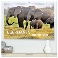 Éléphants en Afrique  (Calendrier mural 2026 DIN A2 vertical) calendrier de bureau