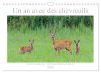 Un an avec des chevreuils (Calendrier mural 2026 DIN A4 vertical), CALVENDO calendrier mensuel